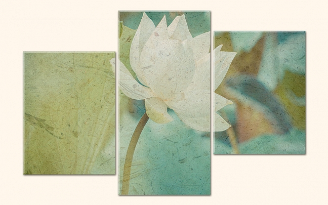 Bílý Lotus