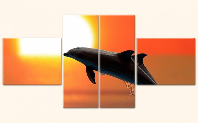 Delfíni při západu slunce