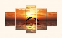Delfíni při západu slunce