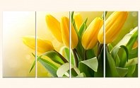 Svazek tulipánů