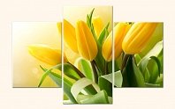 Svazek tulipánů