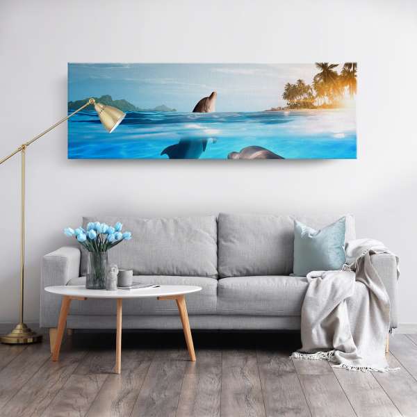 Delfíni v tropickém moři