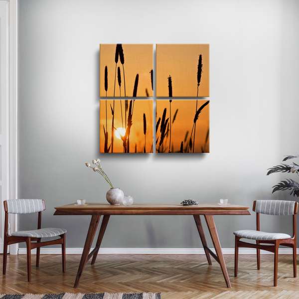 Západ slunce s protisvětlem