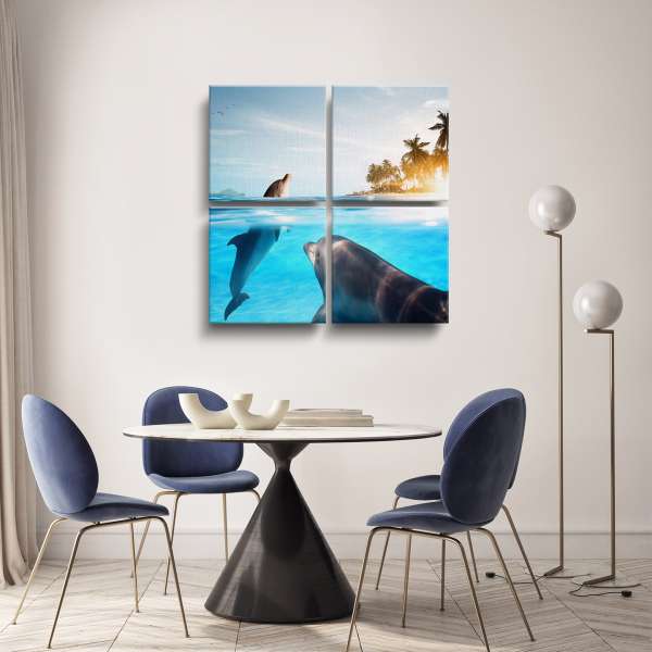 Delfíni v tropickém moři