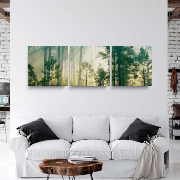 Ranní sluneční paprsky v lese